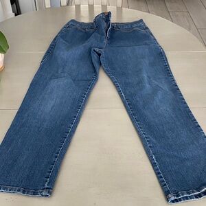 Gloria Vanderbilt womens Relaxed Blue Jeans